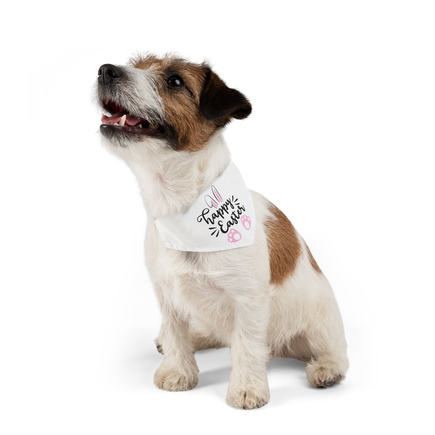 Pet Bandana Collar - Pink