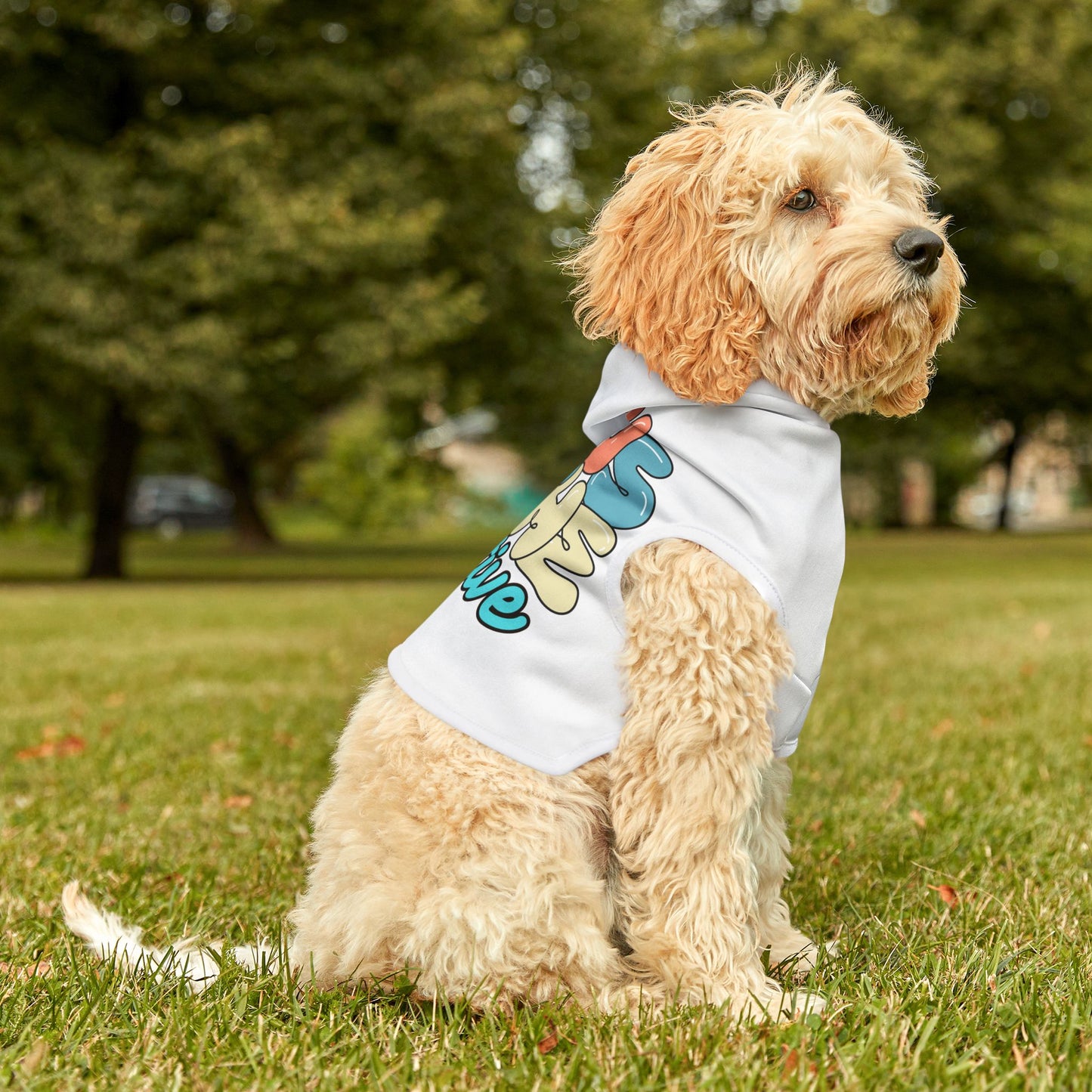 Focus on the positive Pet Hoodie