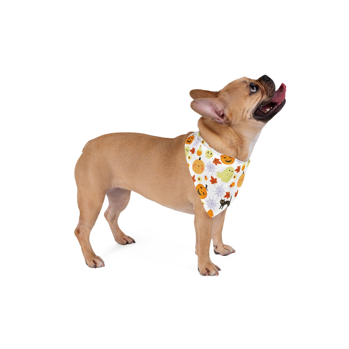 Halloween Pumpkin Bandanna