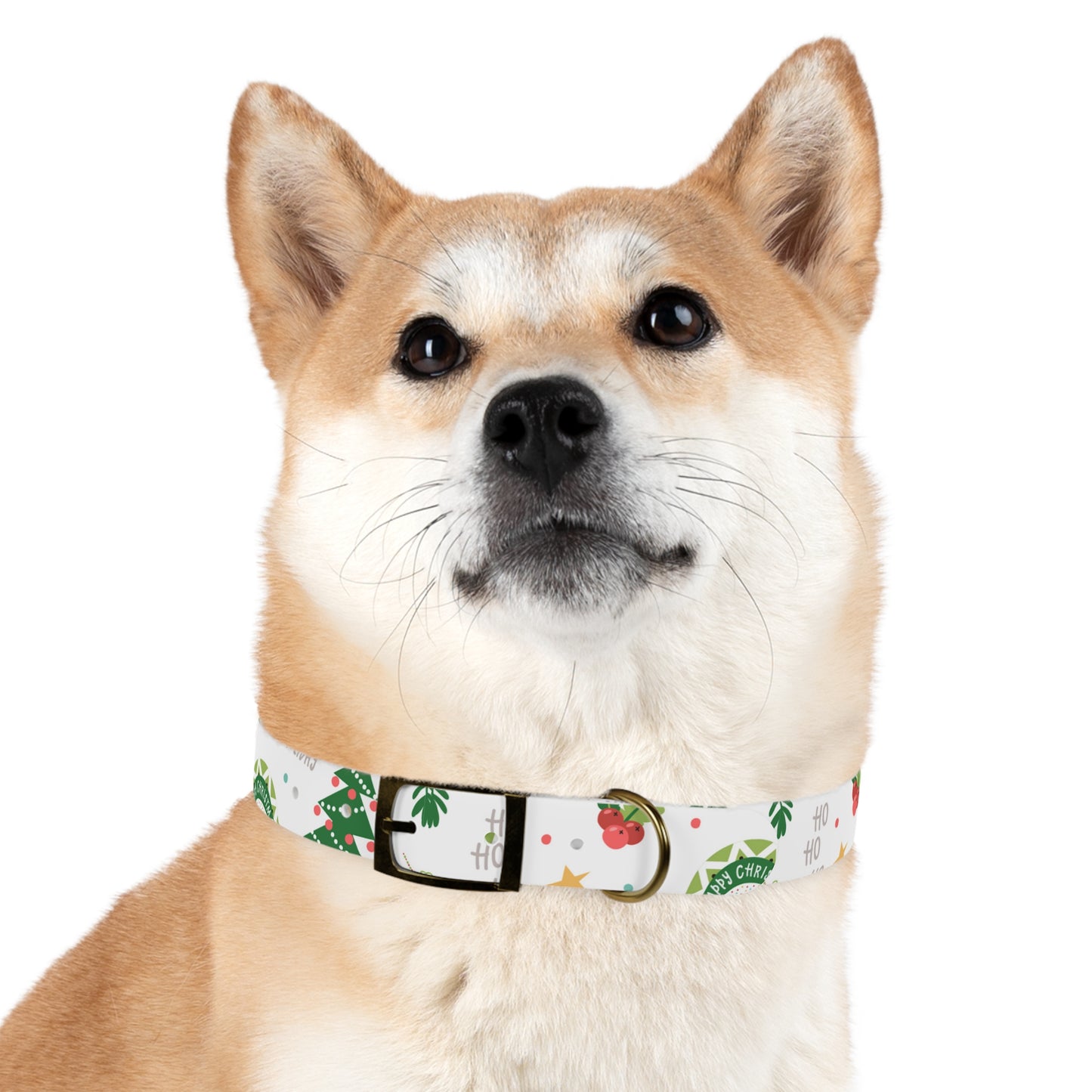 Merry Christmas Dog Collar