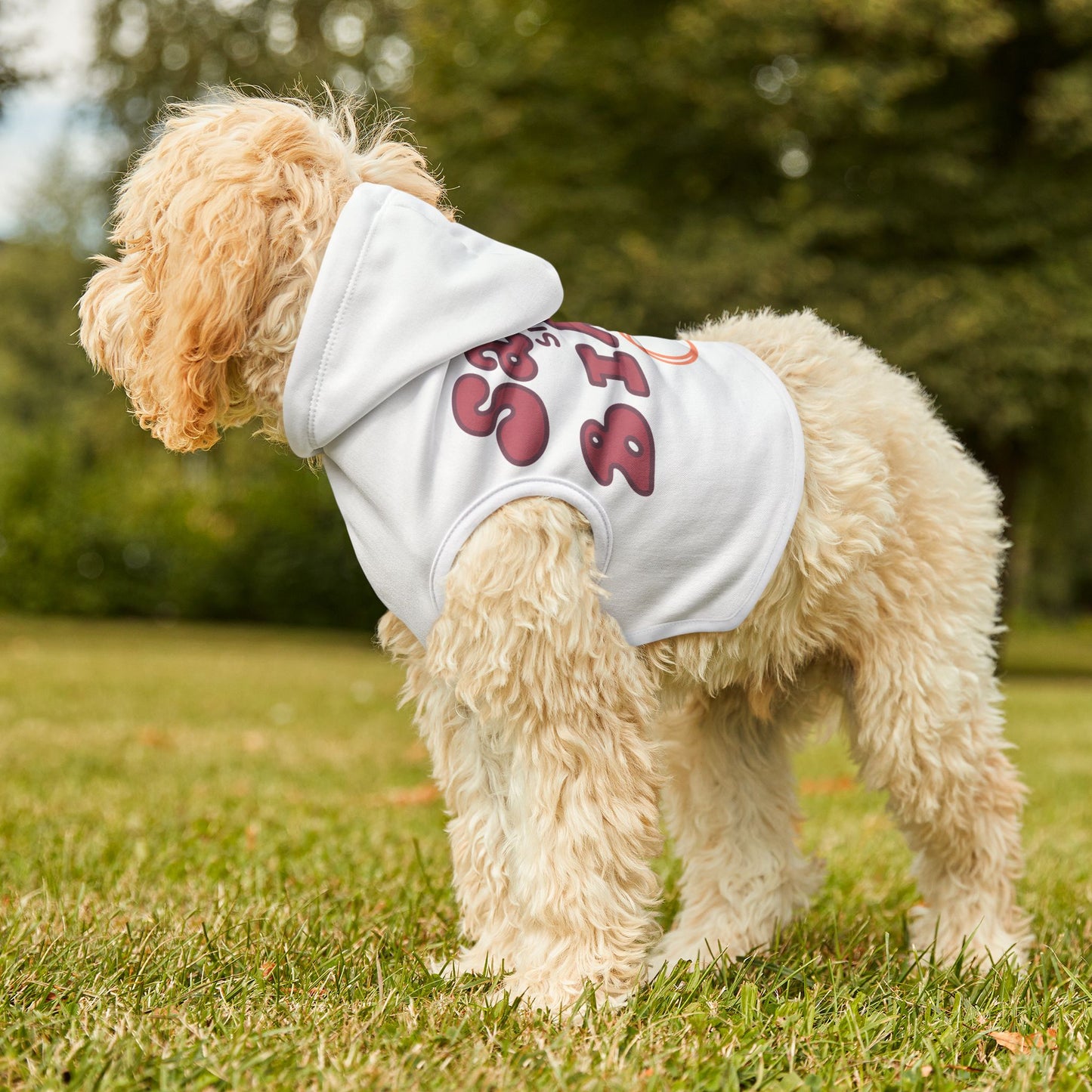 Sassy Since Birth Pet Hoodie