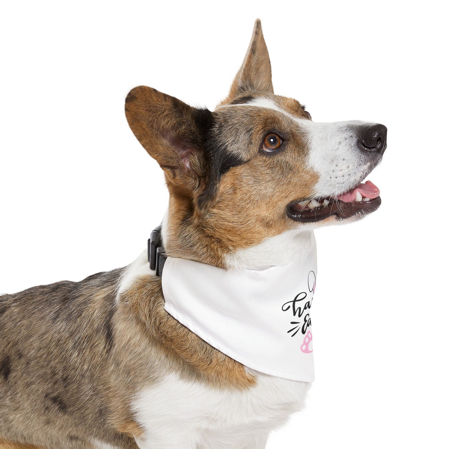 Pet Bandana Collar - Pink