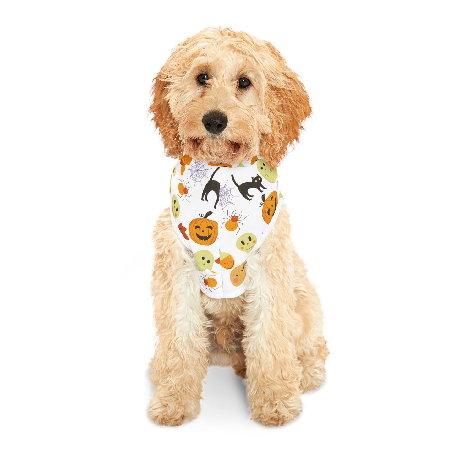 Halloween Pumpkin Pet Hoodie