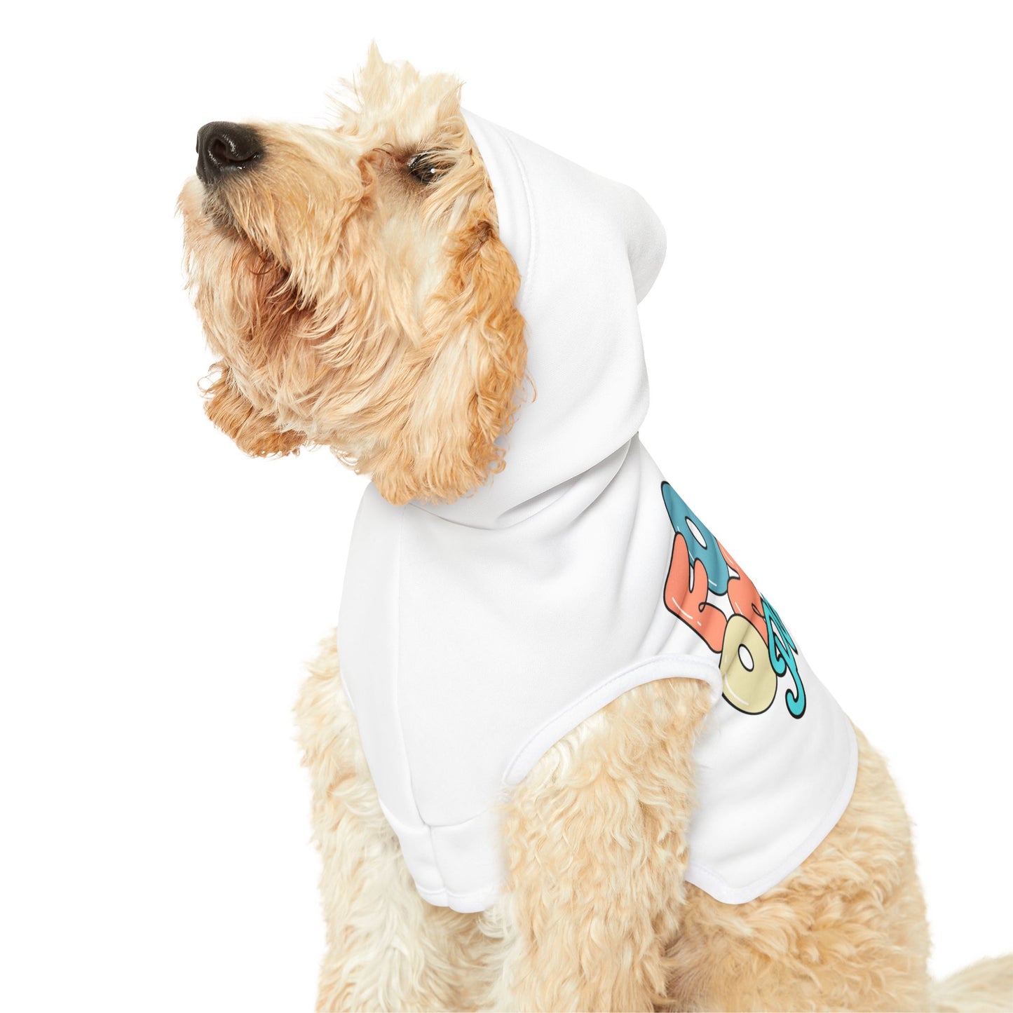 Focus on the positive Pet Hoodie