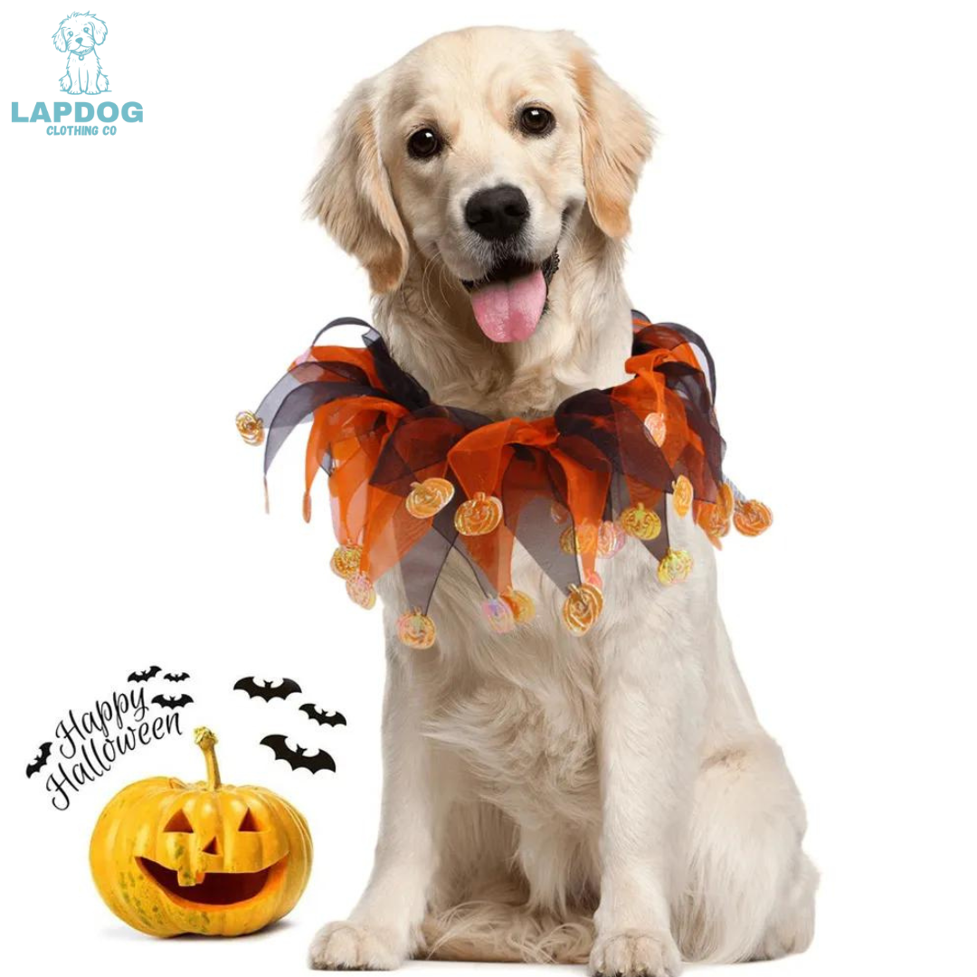 Decorative Halloween Collar