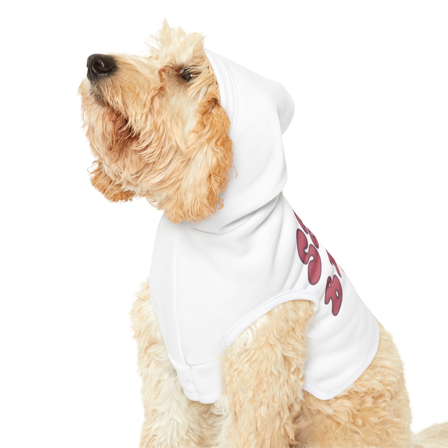 Sassy Since Birth Pet Hoodie