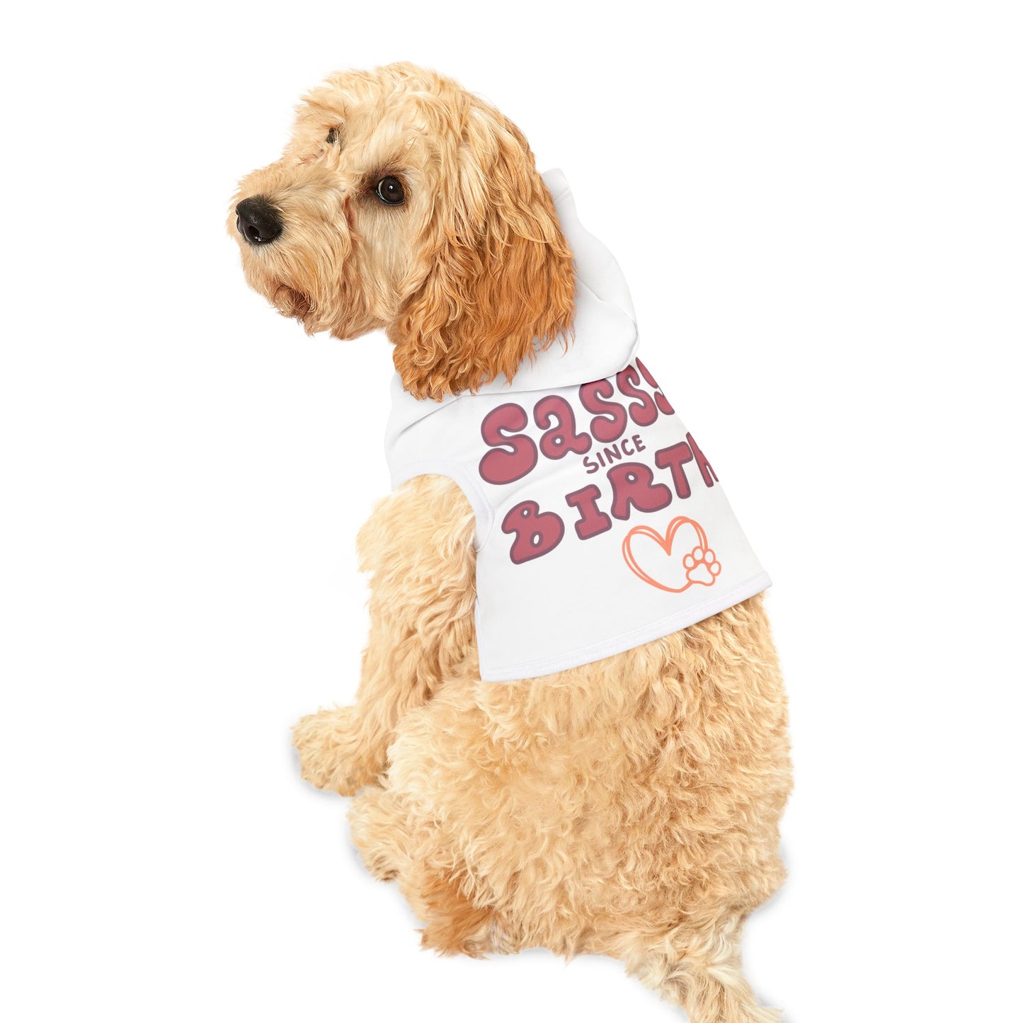 Sassy Since Birth Pet Hoodie