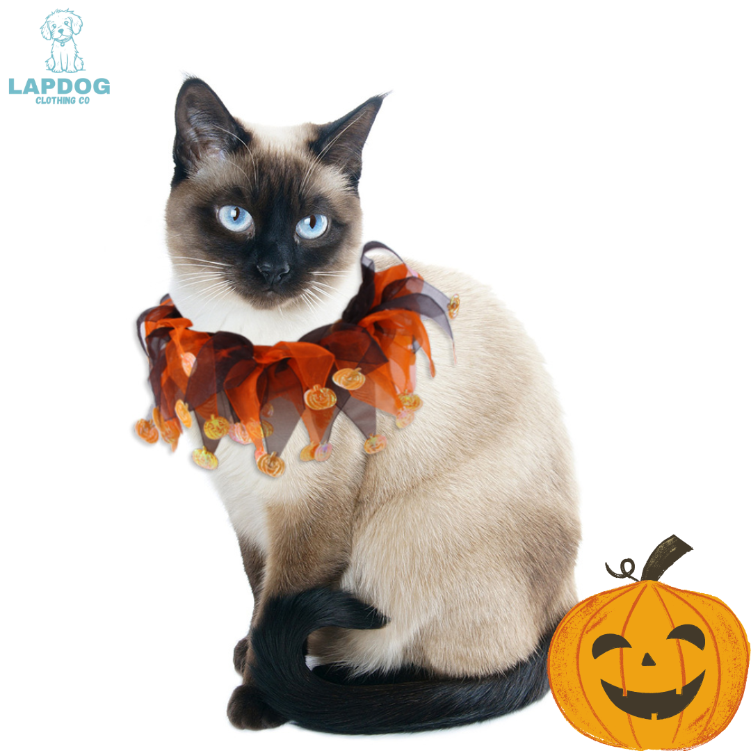 Decorative Halloween Collar