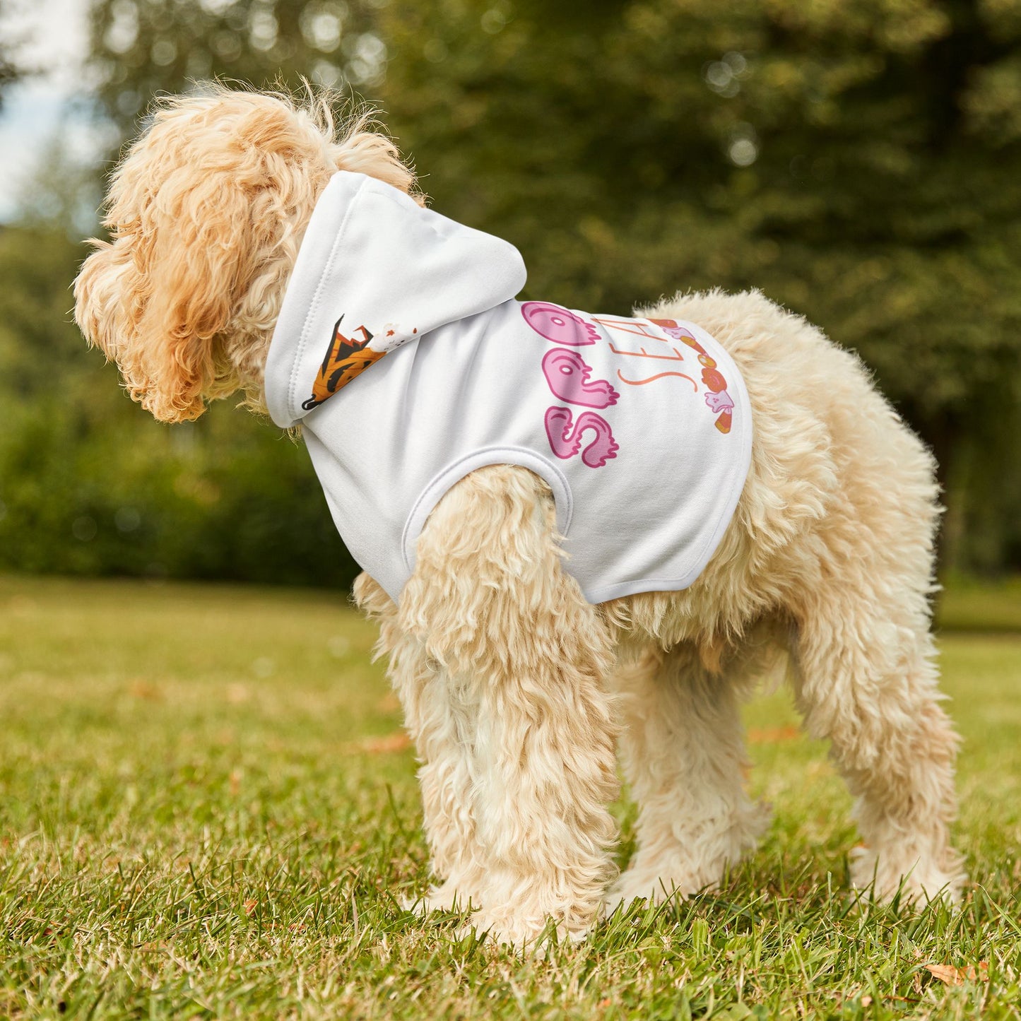 Spooky Season Pet Hoodie