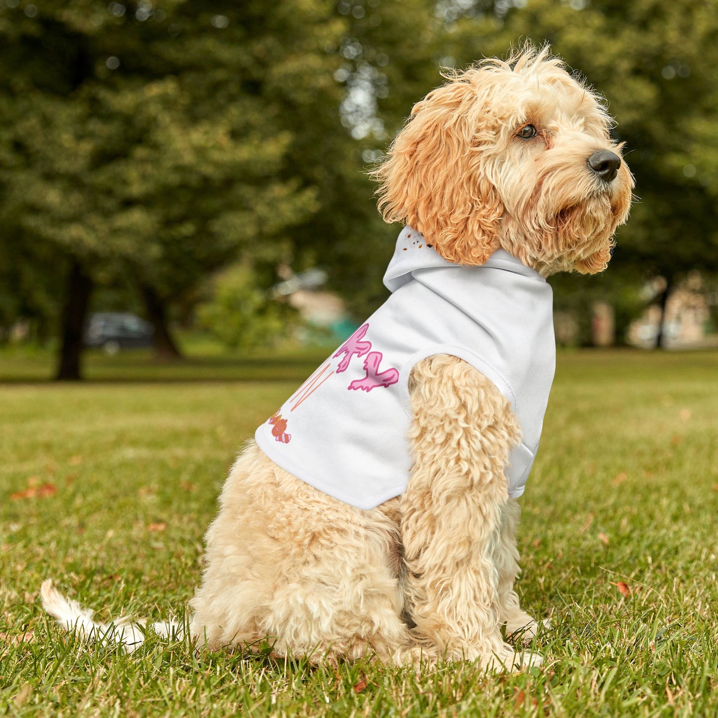 Spooky Season Pet Hoodie