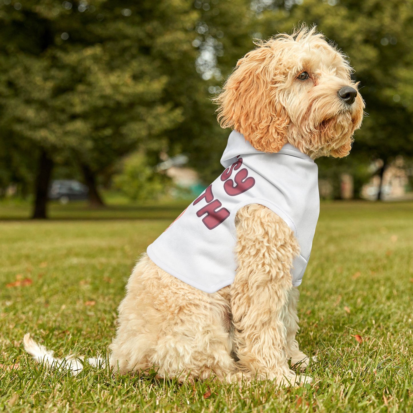 Sassy Since Birth Pet Hoodie