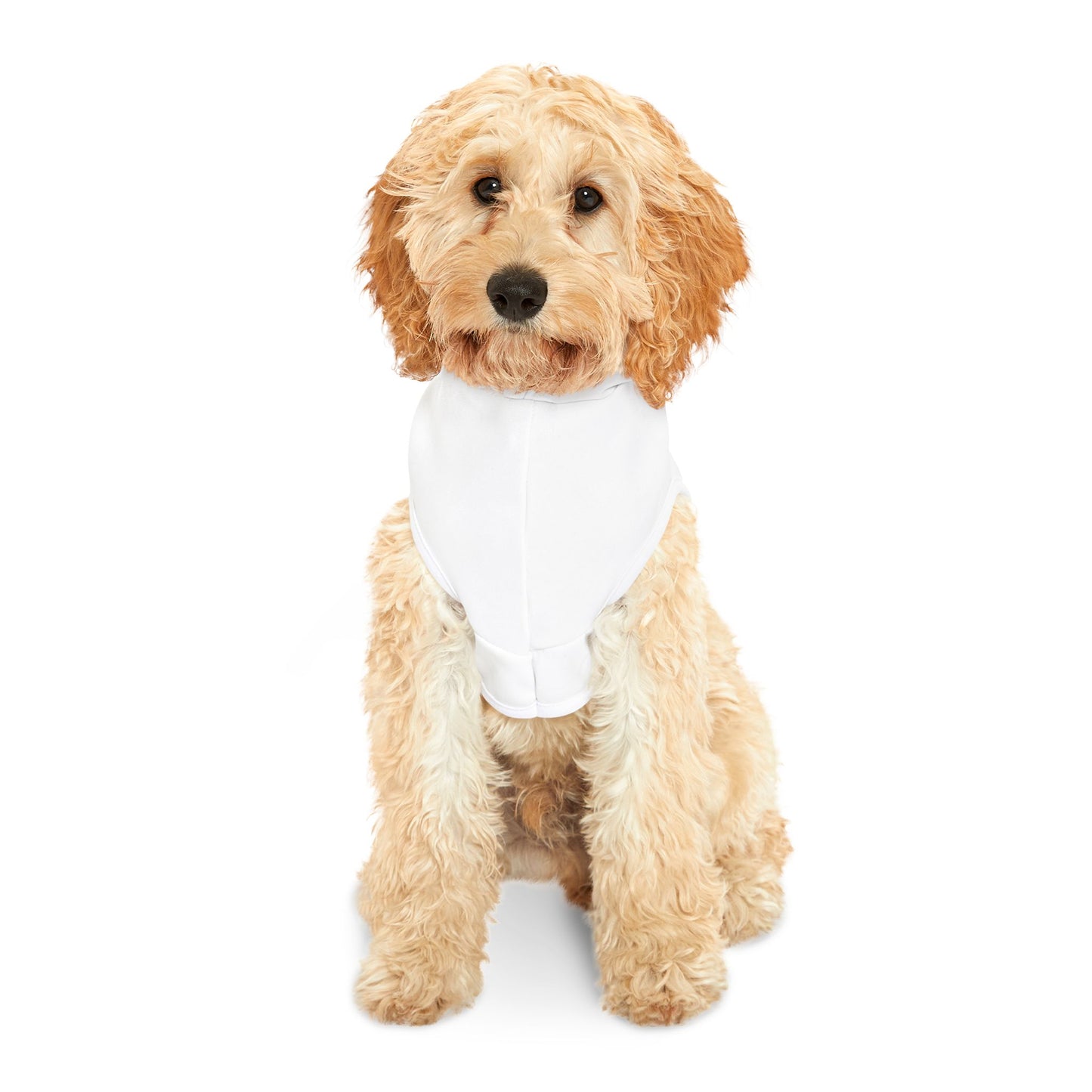 Boo Time Halloween Pet Hoodie