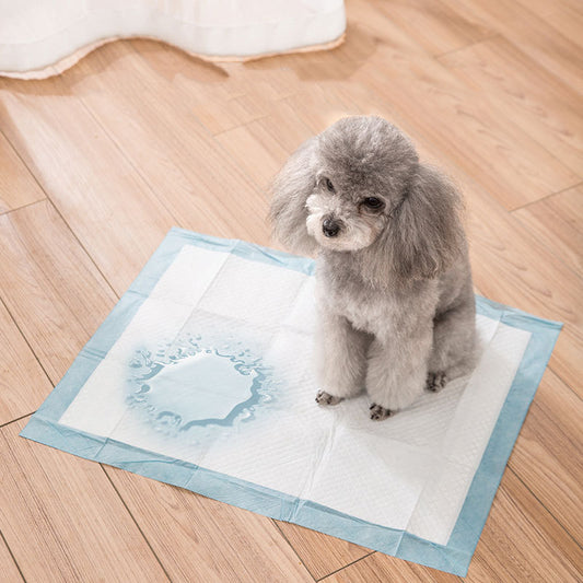 Dog Toilet Training Pads